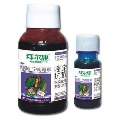 盆景花卉常見殺菌劑與植物增效劑的優(yōu)劣性對比與應用指南